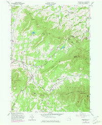 Hensonville 1980 topographic map thumbnail