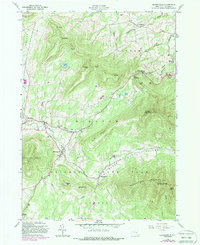 Hensonville 1980 topographic map thumbnail