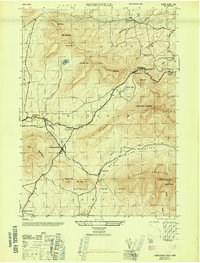 Hensonville 1946 topographic map thumbnail