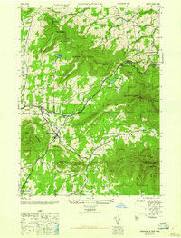 Hensonville 1946 topographic map thumbnail