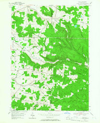 Ivory 1954 topographic map thumbnail