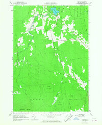 Jericho 1966 topographic map thumbnail