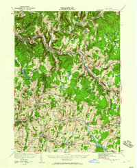 Livingston Manor 1921 topographic map thumbnail