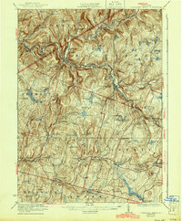 Livingston Manor 1923 topographic map thumbnail