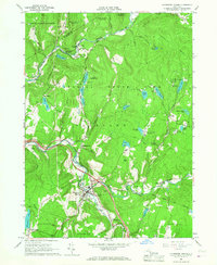 Livingston Manor 1965 topographic map thumbnail