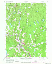 Livingston Manor 1965 topographic map thumbnail