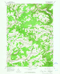 Livingstonville 1945 topographic map thumbnail