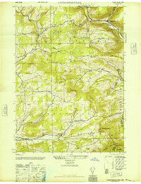Livingstonville 1946 topographic map thumbnail