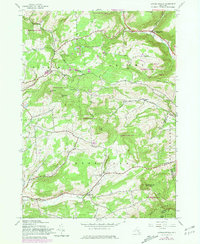 Livingstonville 1945 topographic map thumbnail