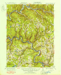 Long Eddy 1920 topographic map thumbnail
