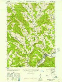 Margaretville 1946 topographic map thumbnail