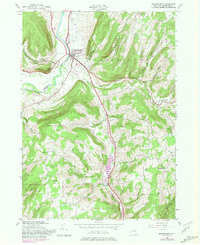 Middleburgh 1944 topographic map thumbnail