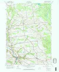 Middleville 1943 topographic map thumbnail