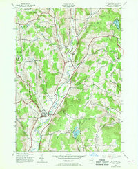 Mt Vision 1943 topographic map thumbnail