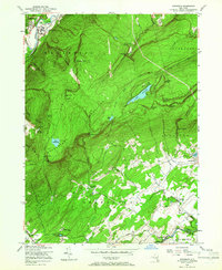 Napanoch 1956 topographic map thumbnail