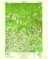 Neversink 1942 topographic map thumbnail