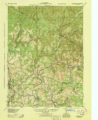 Neversink topographic map thumbnail
