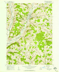 Newark Valley 1956 topographic map thumbnail