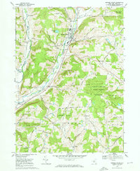 Newark Valley 1969 topographic map thumbnail