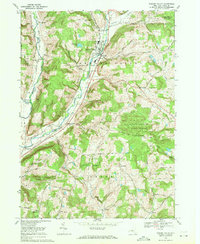 Newark Valley 1969 topographic map thumbnail
