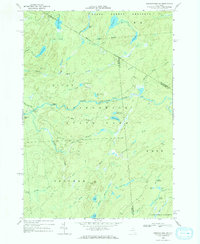 Oswegatchie SW 1966 topographic map thumbnail