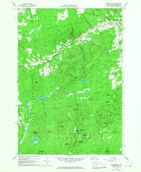 Peasleeville 1966 topographic map thumbnail