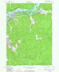 Red House 1962 topographic map thumbnail