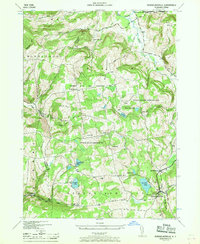 Rensselaerville 1946 topographic map thumbnail