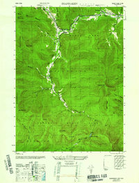Shandaken 1946 topographic map thumbnail