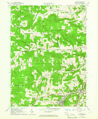 Alfred 1964 topographic map thumbnail