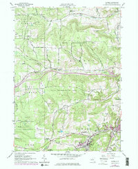 Alfred 1964 topographic map thumbnail