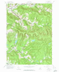 Arena 1945 topographic map thumbnail