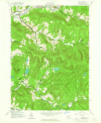 Arena 1945 topographic map thumbnail