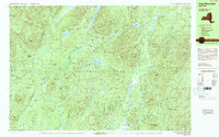 Page Mountain 1990 topographic map thumbnail