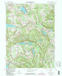 Peach Lake 1958 topographic map thumbnail