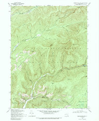Peekamoose Mtn 1969 topographic map thumbnail