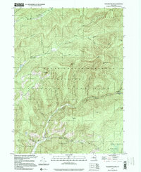 Peekamoose Mtn topographic map thumbnail