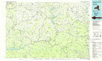 Pepacton Reservoir topographic map thumbnail