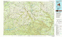 Pepacton Reservoir 1986 topographic map thumbnail