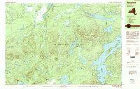 Piercefield 1990 topographic map thumbnail