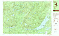 Piseco Lake 1990 topographic map thumbnail