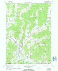 Portville 1961 topographic map thumbnail