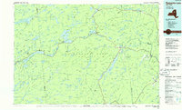 Raquette Lake 1985 topographic map thumbnail