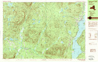 Schroon Lake 1989 topographic map thumbnail