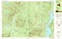 Schroon Lake 1989 topographic map thumbnail