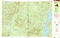 Schroon Lake 1995 topographic map thumbnail