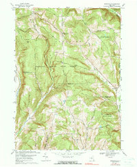 Speedsville 1969 topographic map thumbnail