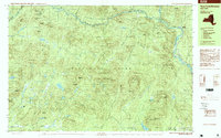 Three Ponds Mountain topographic map thumbnail