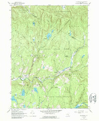 Willowemoc 1966 topographic map thumbnail