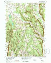 Willseyville 1969 topographic map thumbnail